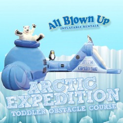 Arctic Expedition Toddler Obstacle Course