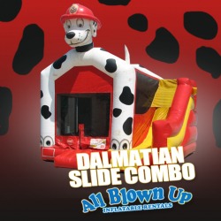Dalmatian Slide Combo