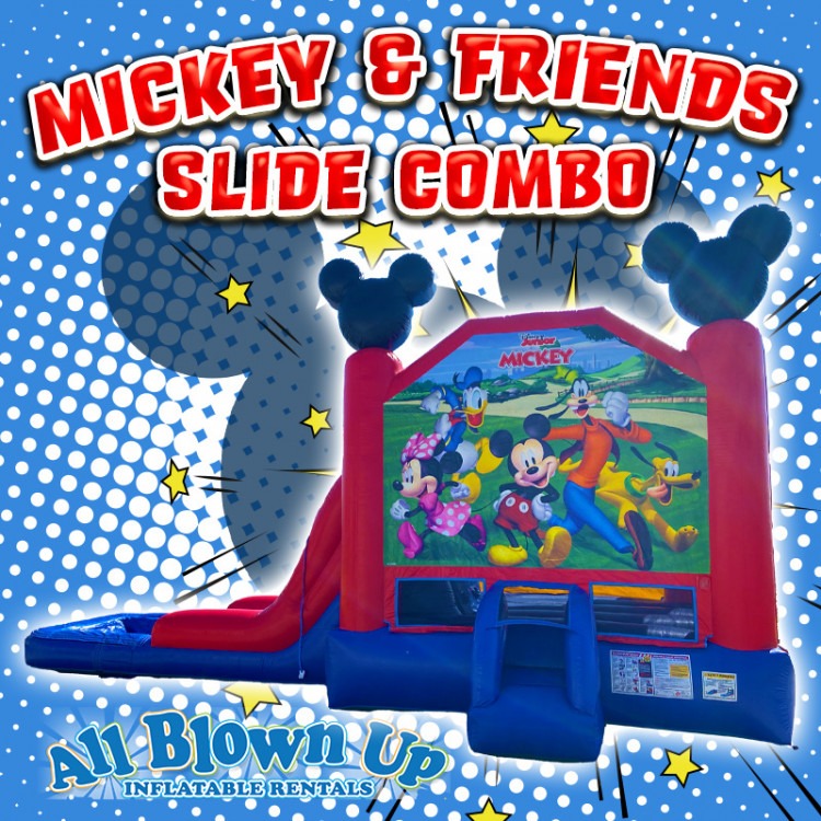 Disney Mickey and Friends Slide Combo