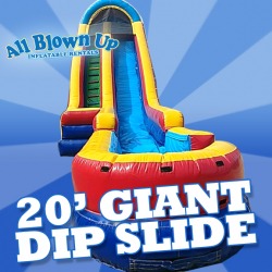 20' Giant Dip Slide
