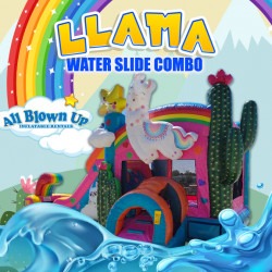 Llama Water Slide Combo