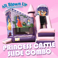 Princess Castle Slide Combo