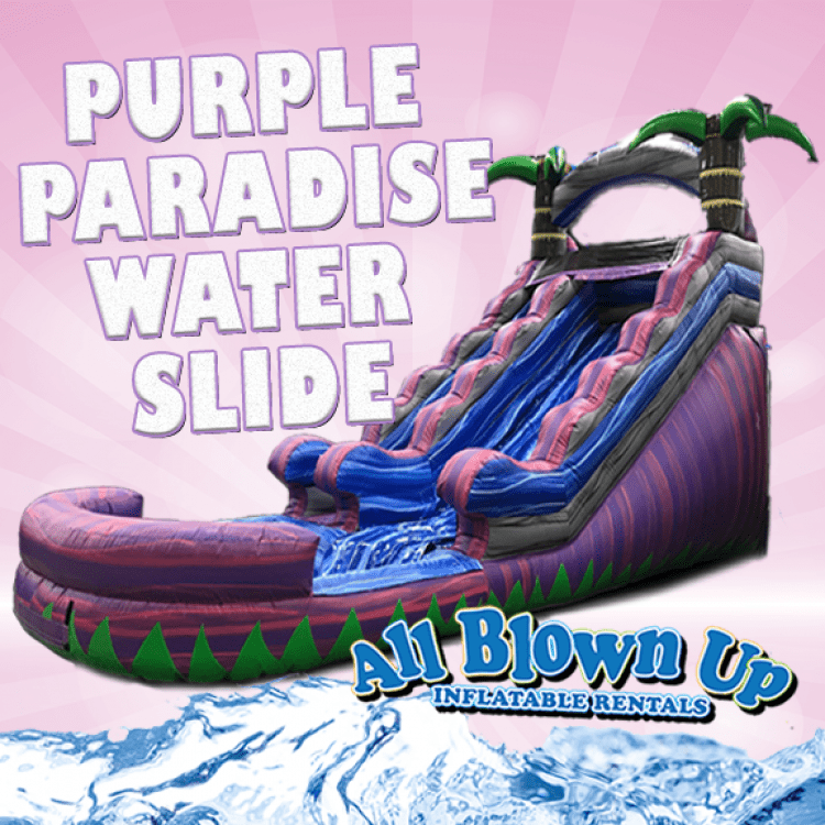 Purple Paradise Water Slide