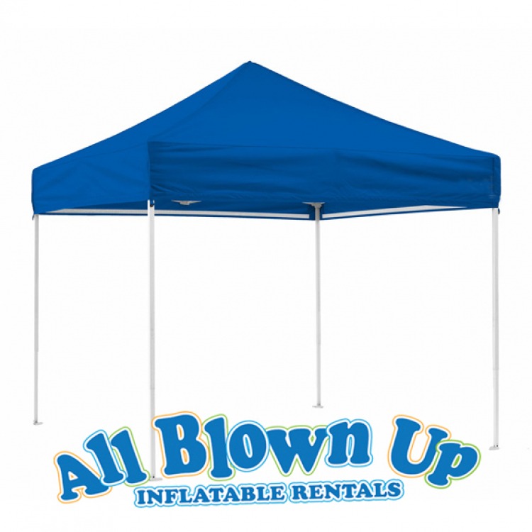 10'x10' Easy Up Canopy
