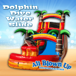 dolphin dive 1 1618851830 Dolphin Dive Water Slide