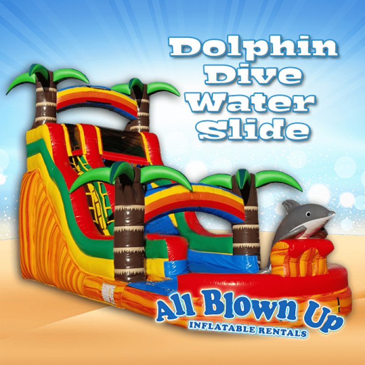 Dolphin Dive Water Slide