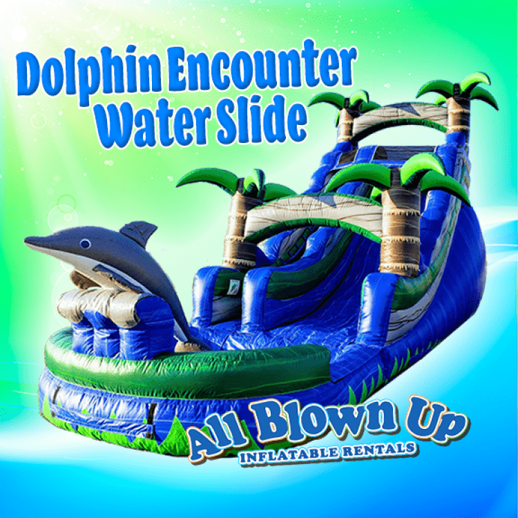Dolphin Encounter Water Slide