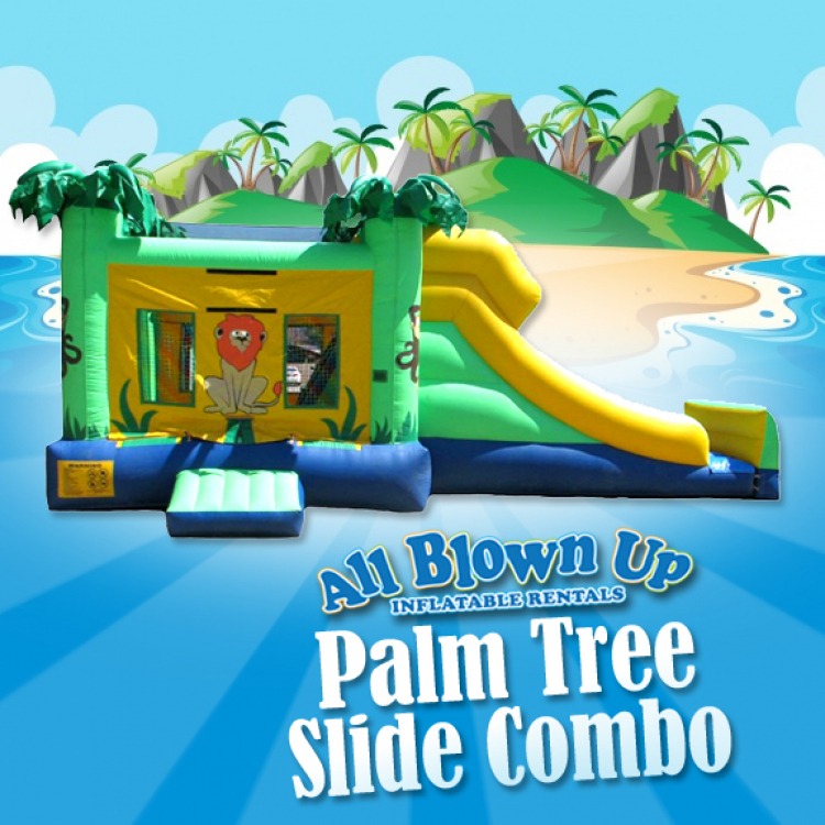 Palm Tree Slide Combo