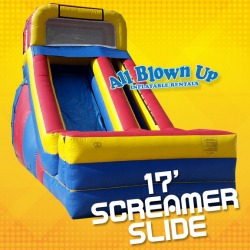 17' Screamer Slide