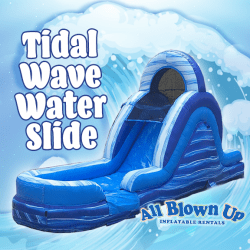Tidal Wave Water Slide