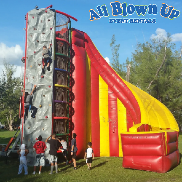 *B. Rock Wall & Spider Climb with Slide