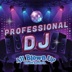Professional DJ Service