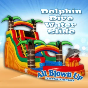 dolphin dive 2 1618851616 big Dive into Fun with Water Slide Rentals in Evansville, IN