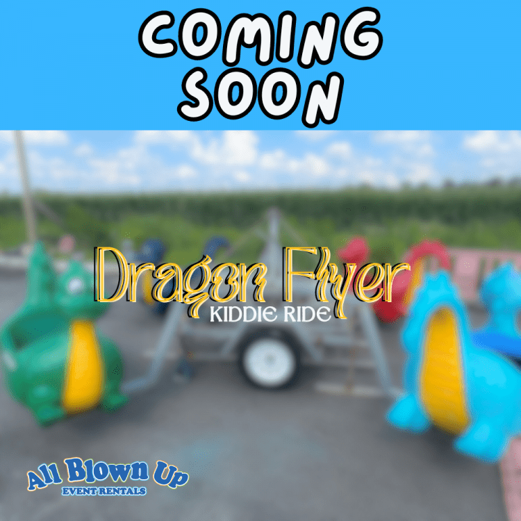 Dragon Flyer Kiddie Ride