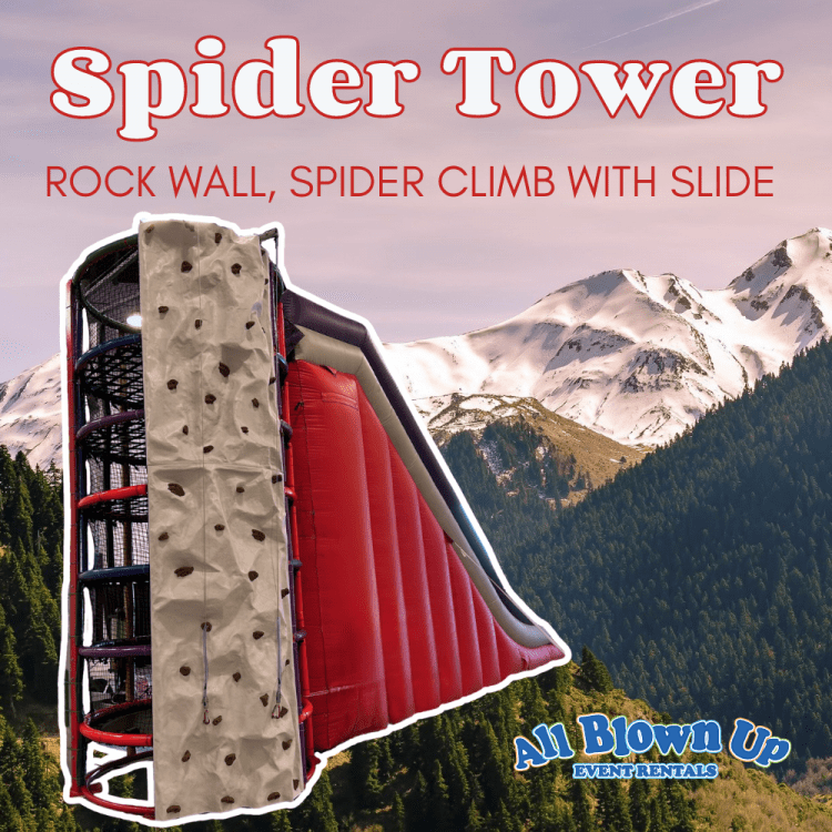 *1 Rock Wall, Spider Climb with Slide