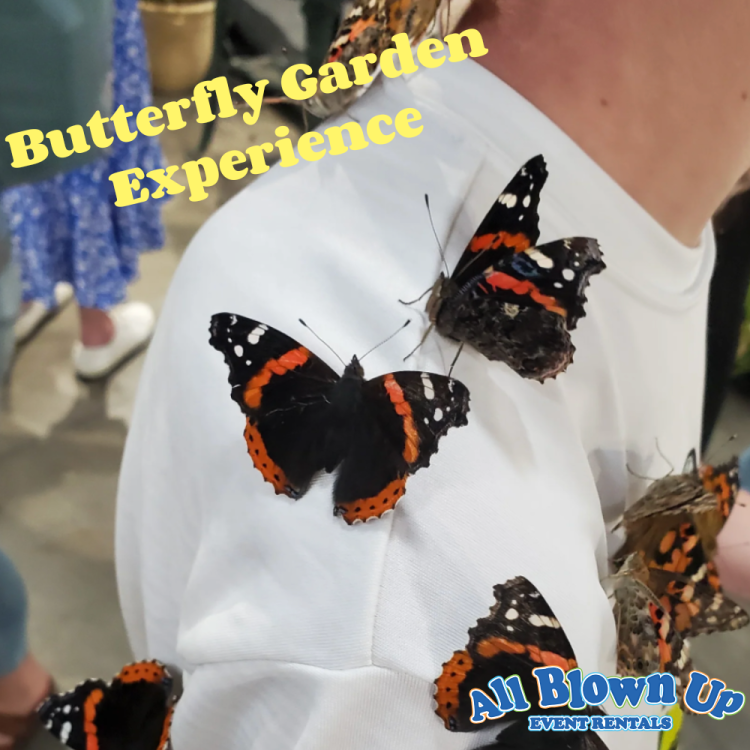 Butterfly Garden Experience