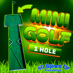 1 Hole Mini Golf