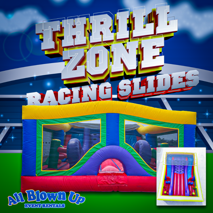 Thrill Zone Racing Slides